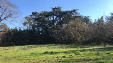 BEAU TERRAIN DE 652 M² BEAU TERRAIN DE 652 M²