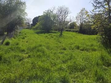 Terrains Florentin environnement calme 