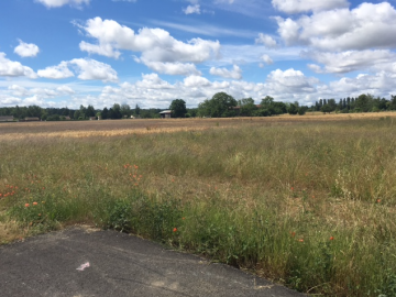 TERRAIN DISPONIBLE LISLE SUR TARN TERRAIN DISPONIBLE LISLE SUR TARN